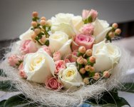 IMG_5913.jpg